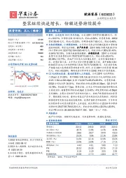 整装继续快速增长，份额逆势持续提升