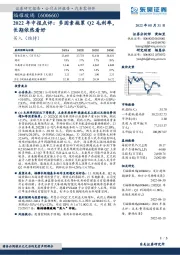 2022年中报点评:多因素拖累Q2毛利率,长期依然看好