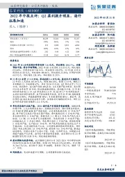 2022年中报点评:Q2盈利提升明显,海外拓展加速