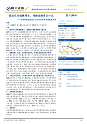 2022年半年度报告点评：营收实现稳健增长，持续深耕重点行业