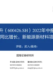 2022年中报点评:上半年业绩同比增长,新能源新材料项目持续推进