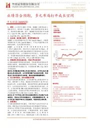 业绩符合预期,多元布局打开成长空间