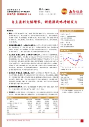 自主盈利大幅增长，新能源战略持续发力