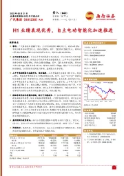 H1业绩表现优秀，自主电动智能化加速推进