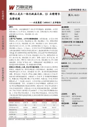 点评报告：磷化工龙头一体化效益凸显，Q2业绩增长态势延续