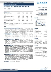 2022H1点评：钢铁业务拖累总体业绩