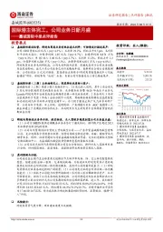 嘉诚国际中报点评报告:国际港主体完工,公司业务日新月盛
