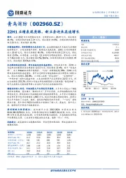 22H1业绩表现亮眼，新业务迎来高速增长