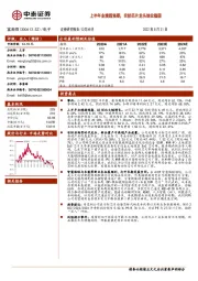 上半年业绩超预期，安防芯片龙头地位稳固