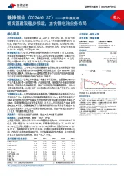 半年报点评：锂资源建设稳步推进，加快锂电池业务布局