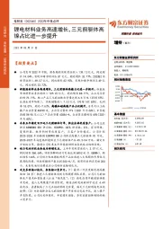 2022年中报点评:锂电材料业务高速增长,三元前驱体高镍占比进一步提升