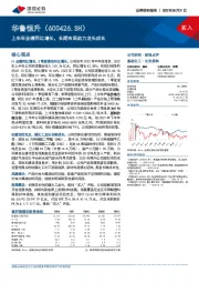 上半年业绩同比增长,长期布局助力龙头成长