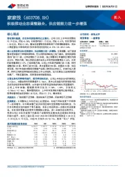 积极推动业态调整融合,供应链能力进一步增强