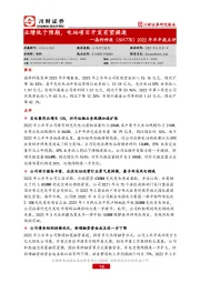 2022年半年报点评：业绩低于预期，电站项目开发有望提速