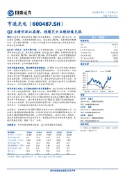 Q2业绩同环比高增，线缆巨头业绩持续兑现