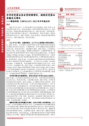 2022年半年报点评:并网逆变器业务出货持续增长,储能逆变器业务爆发式增长
