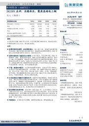 2022H1点评：业绩承压，聚焦高端电工钢