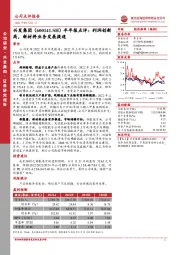 半年报点评:利润创新高,新材料业务发展提速