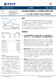 2022半年报点评：海外增速大幅跑赢行业，丰富储备支撑国内回暖