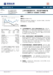 点评报告：上半年实现量价齐升，风光资产持续扩张