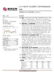 公司简评报告：22H1中报点评：自主品牌发力，国内外双轮驱动业绩高增