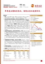 单季度业绩略有承压，制剂业务加速国际化