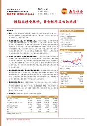 短期业绩受扰动,黄金板块成长性延续