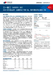 2022半年报点评：业绩同比下降74%，海外营收同比增长33%