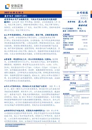 疫情影响公司产品短期交付,不改公司未来高成长发展趋势