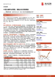 2022年半年度报告点评：中报业绩符合预期，储能业务发展提速