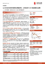 2022年中报点评:Q2扣非后归母净利润同比降幅收窄,公司拟发行GDR推进国际化战略