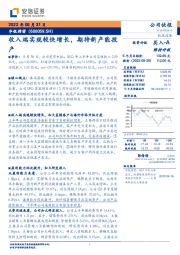 收入端实现较快增长,期待新产能投产