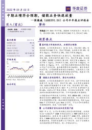 公司半年报点评报告:中期业绩符合预期,储能业务快速放量