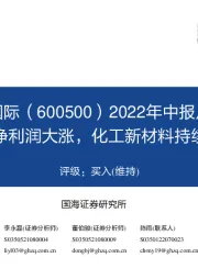 2022年中报点评：扣非净利润大涨，化工新材料持续成长