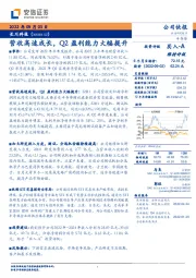 营收高速成长，Q2盈利能力大幅提升