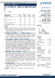 2022半年报点评:期待主业回暖与新业务成