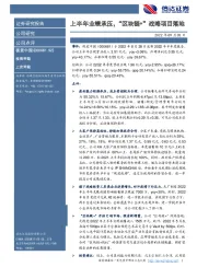 上半年业绩承压,“区块链+”战略项目落地