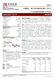 2022年中报点评：业绩稳定，投行业务领域的优势进一步扩大