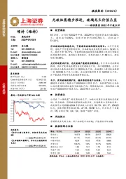 旗滨集团2022年中报点评：光玻拓展稳步推进，玻璃龙头价值凸显