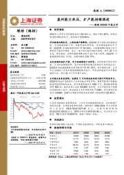 南玻A2022中报点评：盈利能力承压，扩产能持续推进