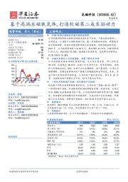 基于高端永磁铁氧体，打造软磁第二成长驱动力