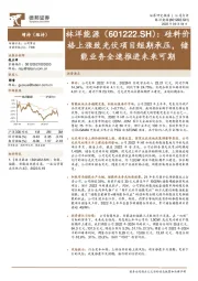 硅料价格上涨致光伏项目短期承压,储能业务全速推进未来可期
