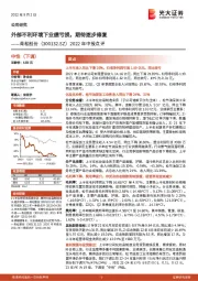 2022年中报点评:外部不利环境下业绩亏损,期待逐步修复