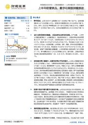 上半年经营承压,数字化转型持续推进