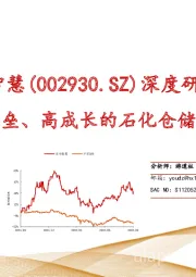 深度研究1：高壁垒、高成长的石化仓储企业