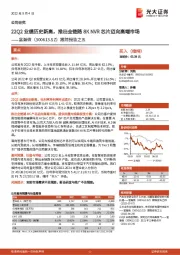 跟踪报告之五：22Q2业绩历史新高，推出全链路8K NVR芯片迈向高端市场