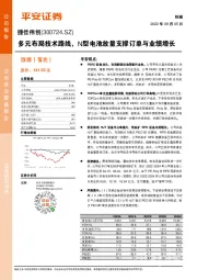 多元布局技术路线，N型电池放量支撑订单与业绩增长