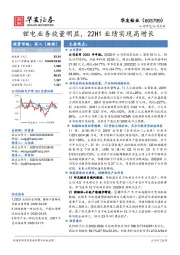 锂电业务放量明显，22H1业绩实现高增长