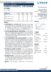 主旋律商业化电影领军者,优质内容投制能力可持续
