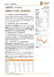 大唐集团旗下电力运营商，加速低碳能源转型